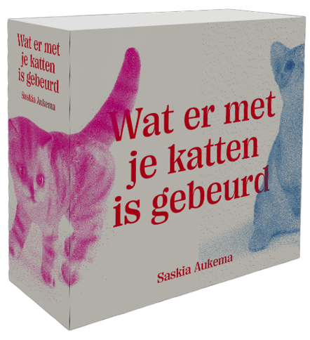 Cover van het boekje 'Wat er met je katten is gebeurd'